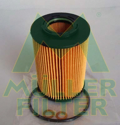 Oil Filter (FOP258)