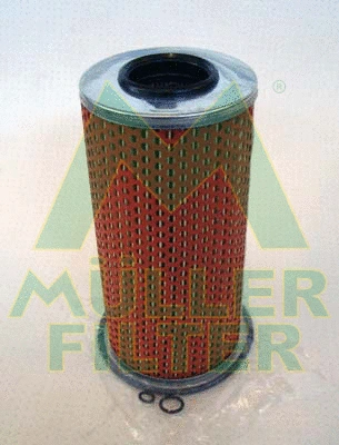 Oil Filter (FOP613)