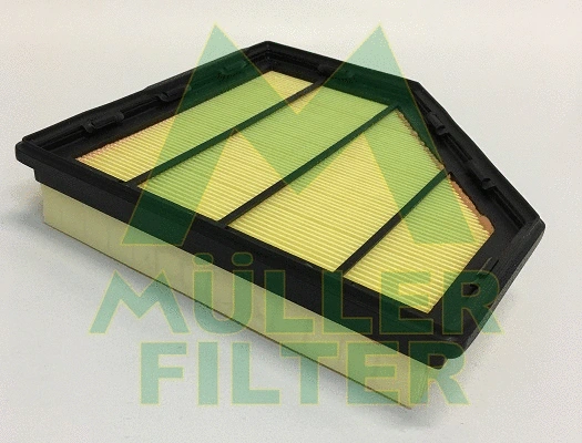 Air Filter (PA3813)