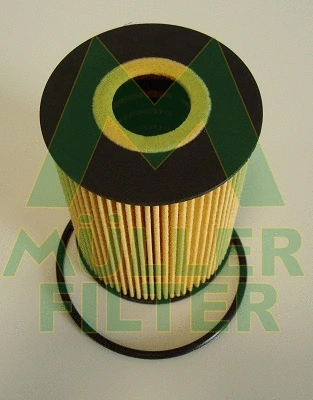 Oil Filter (FOP386)
