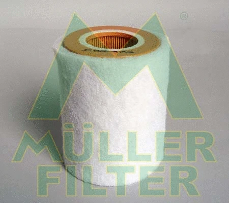 Air Filter (PA3334)
