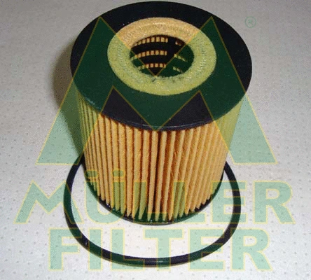 Oil Filter (FOP221)