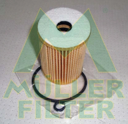 Oil Filter (FOP206)
