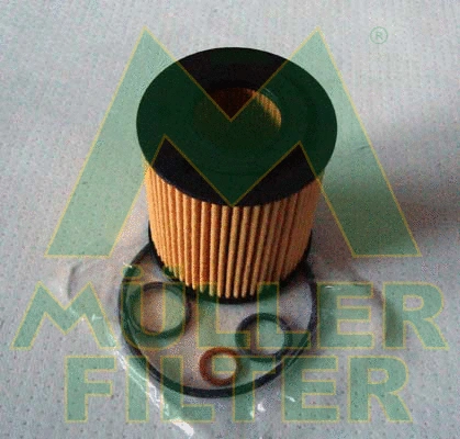 Oil Filter (FOP450)
