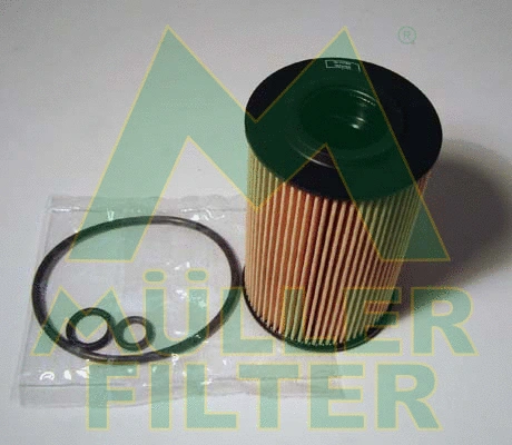 Oil Filter (FOP286)