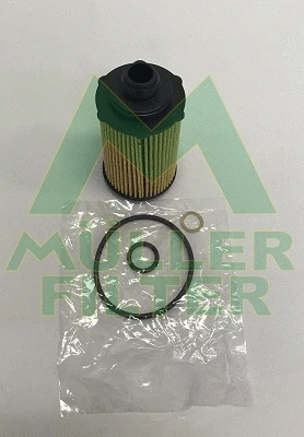 Oil Filter (FOP304)