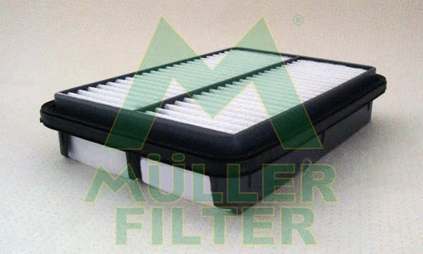 Air Filter (PA3176)
