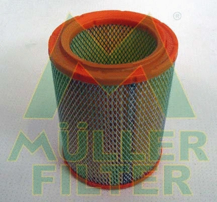Air Filter (PA860)