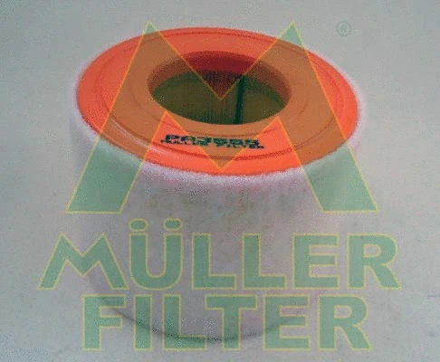 Air Filter (PA3555)