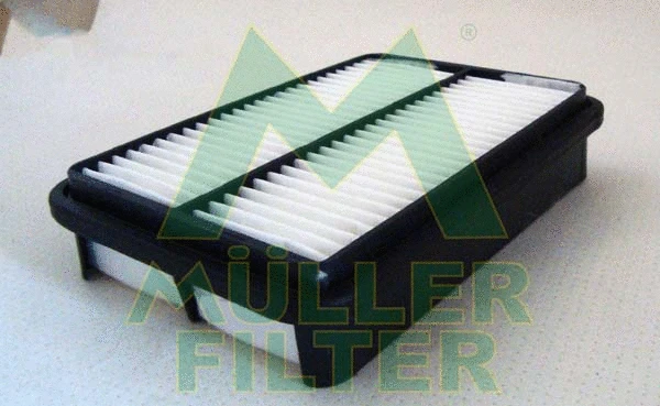 Air Filter (PA3136)