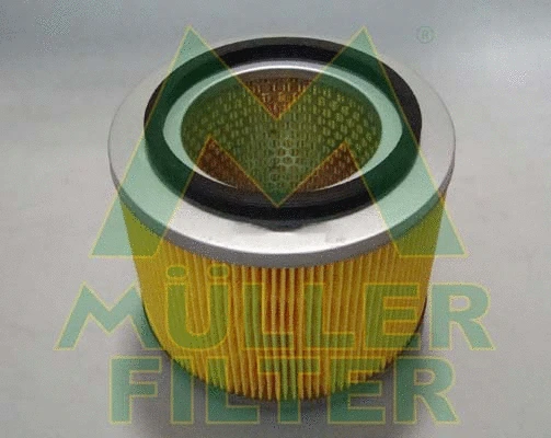 Air Filter (PA3289)