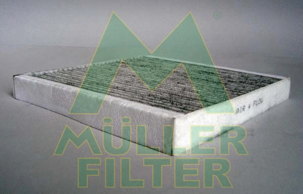Filter, cabin air (FK387)