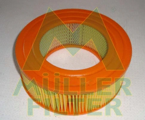 Air Filter (PA25)