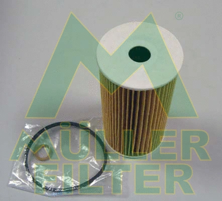 Oil Filter (FOP305)