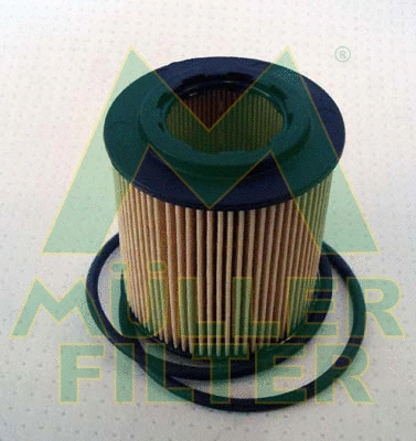 Oil Filter (FOP346)