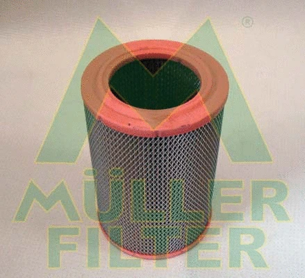 Air Filter (PA451)