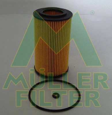 Oil Filter (FOP373)