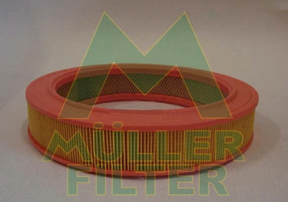 Air Filter (PA336)