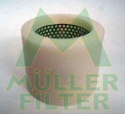 Air Filter (PA879)