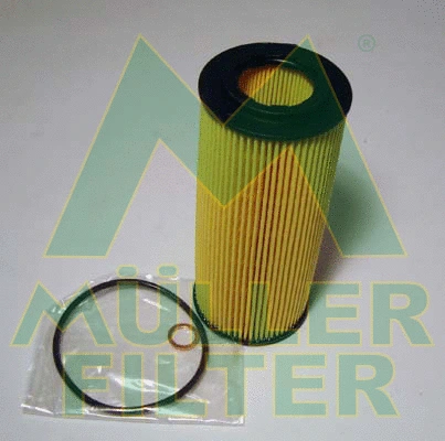 Oil Filter (FOP177)