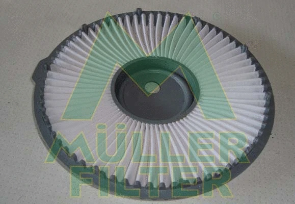 Air Filter (PA125)