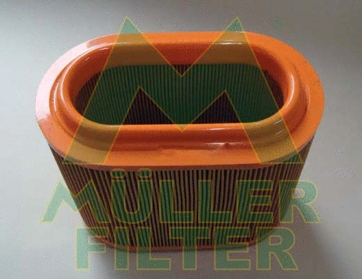 Air Filter (PA3470)