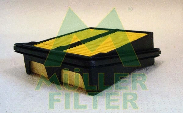 Air Filter (PA3234)