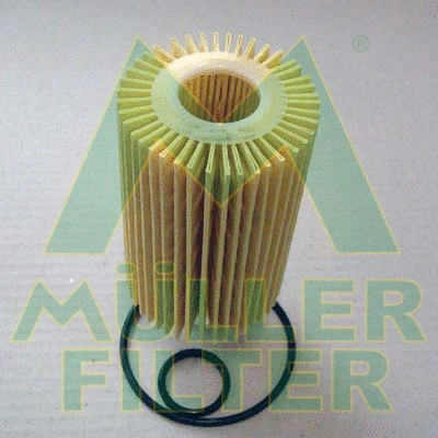 Oil Filter (FOP368)