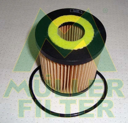 Oil Filter (FOP234)