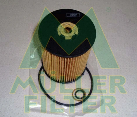 Oil Filter (FOP358)