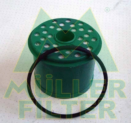 Fuel Filter (FN1450)