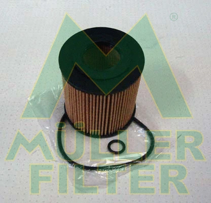 Oil Filter (FOP336)
