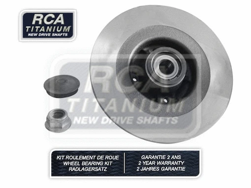 Brake Disc (RCABK09)