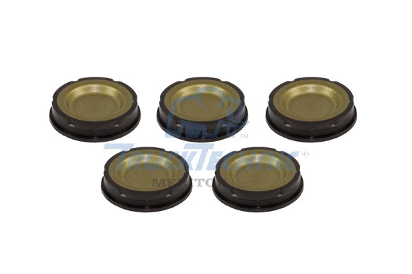 Repair Kit, brake caliper (CKSK.3.4)