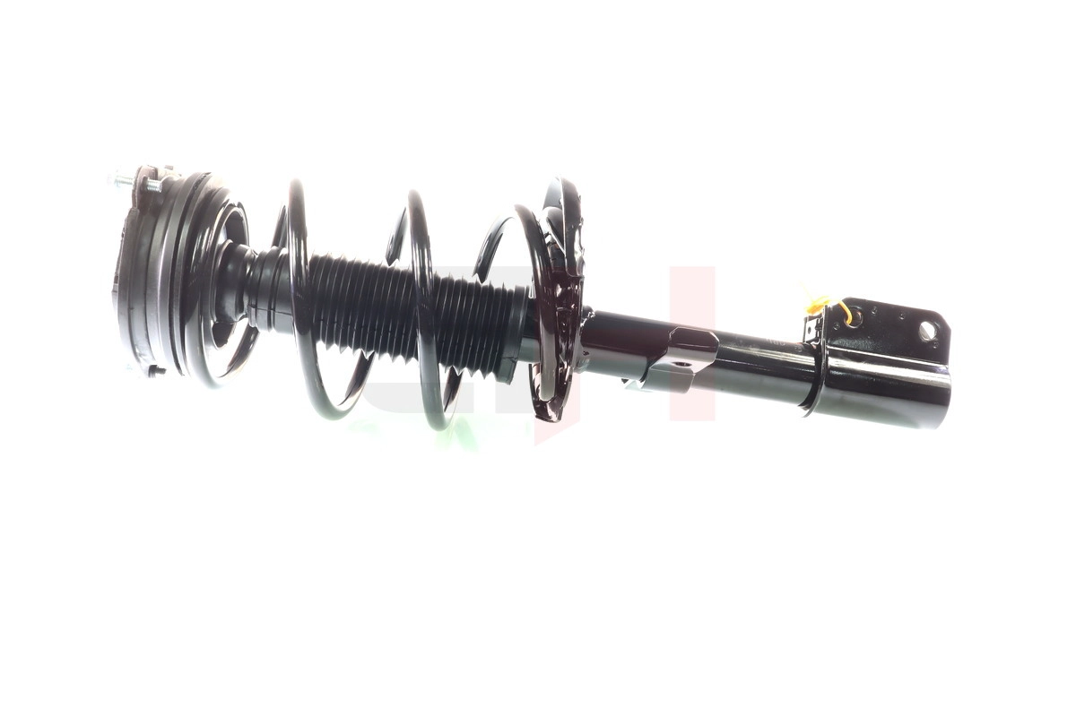 Suspension Strut (GH-353993C01)
