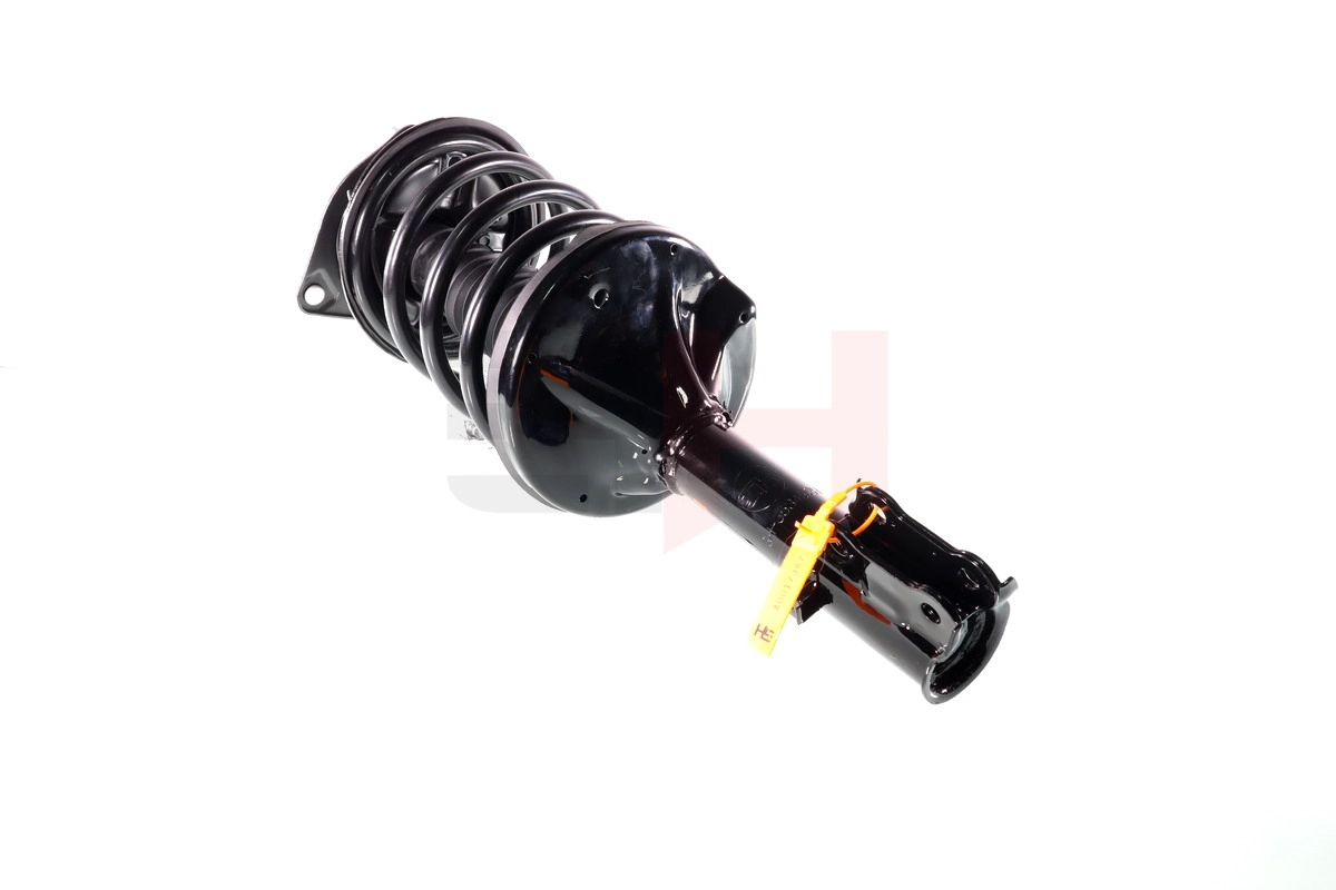Suspension Strut (GH-353492C01)