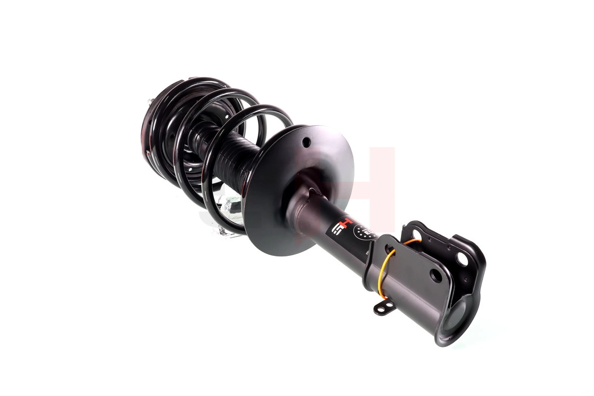 Suspension Strut (GH-359366C01)