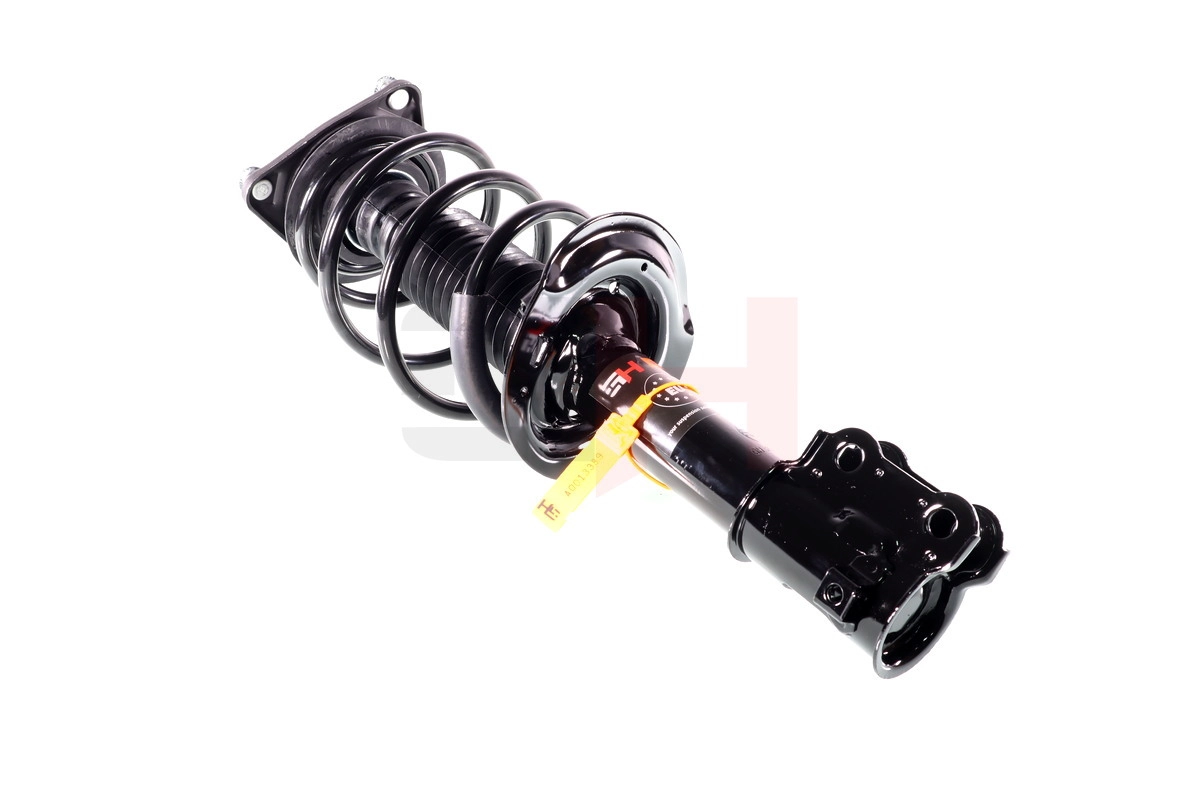 Suspension Strut (GH-353519C01)