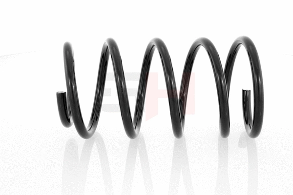 Suspension Spring (GH-222303)