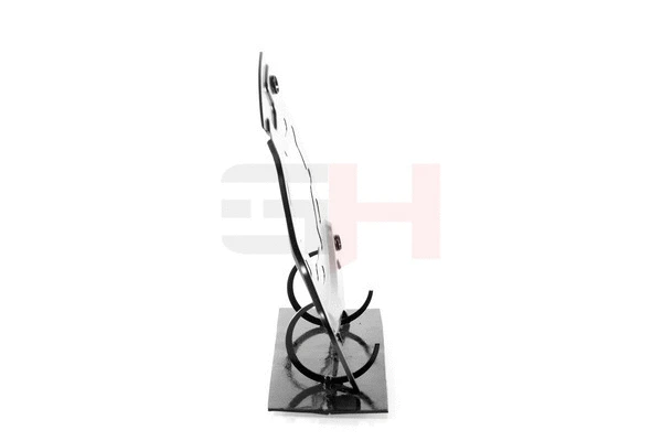 Splash Guard, brake disc