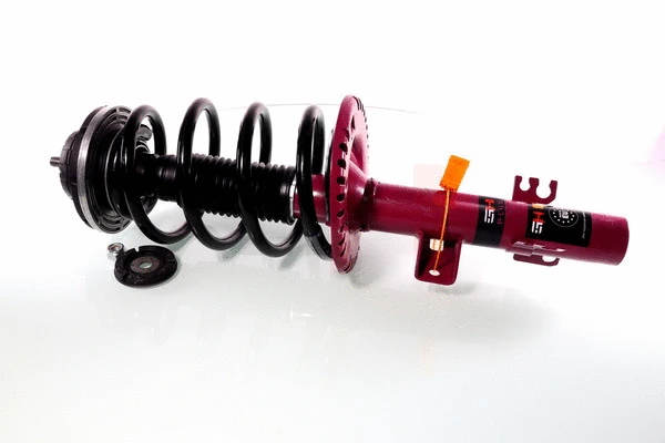 Suspension Strut (GH+354705C01)