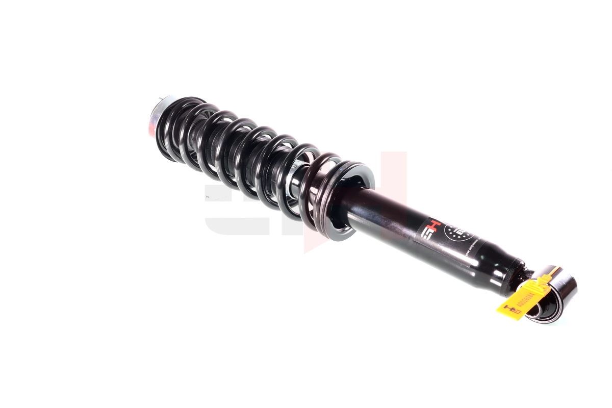 Suspension Strut (GH-331591C03)