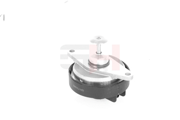 EGR Valve