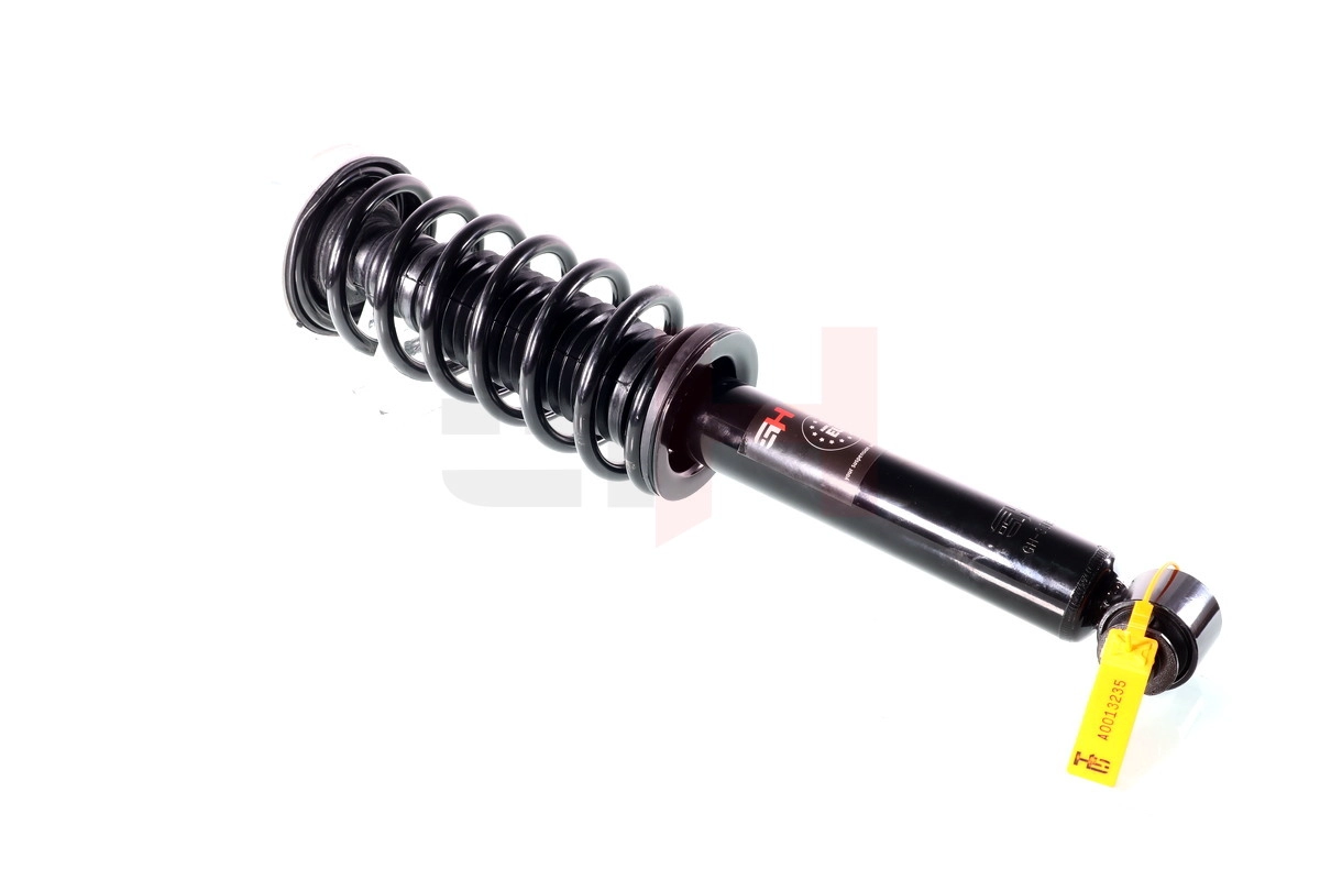 Suspension Strut (GH-331565C01)