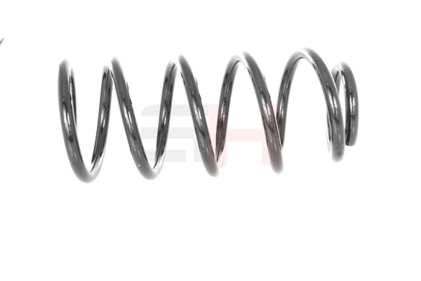 Suspension Spring (GH-222311)