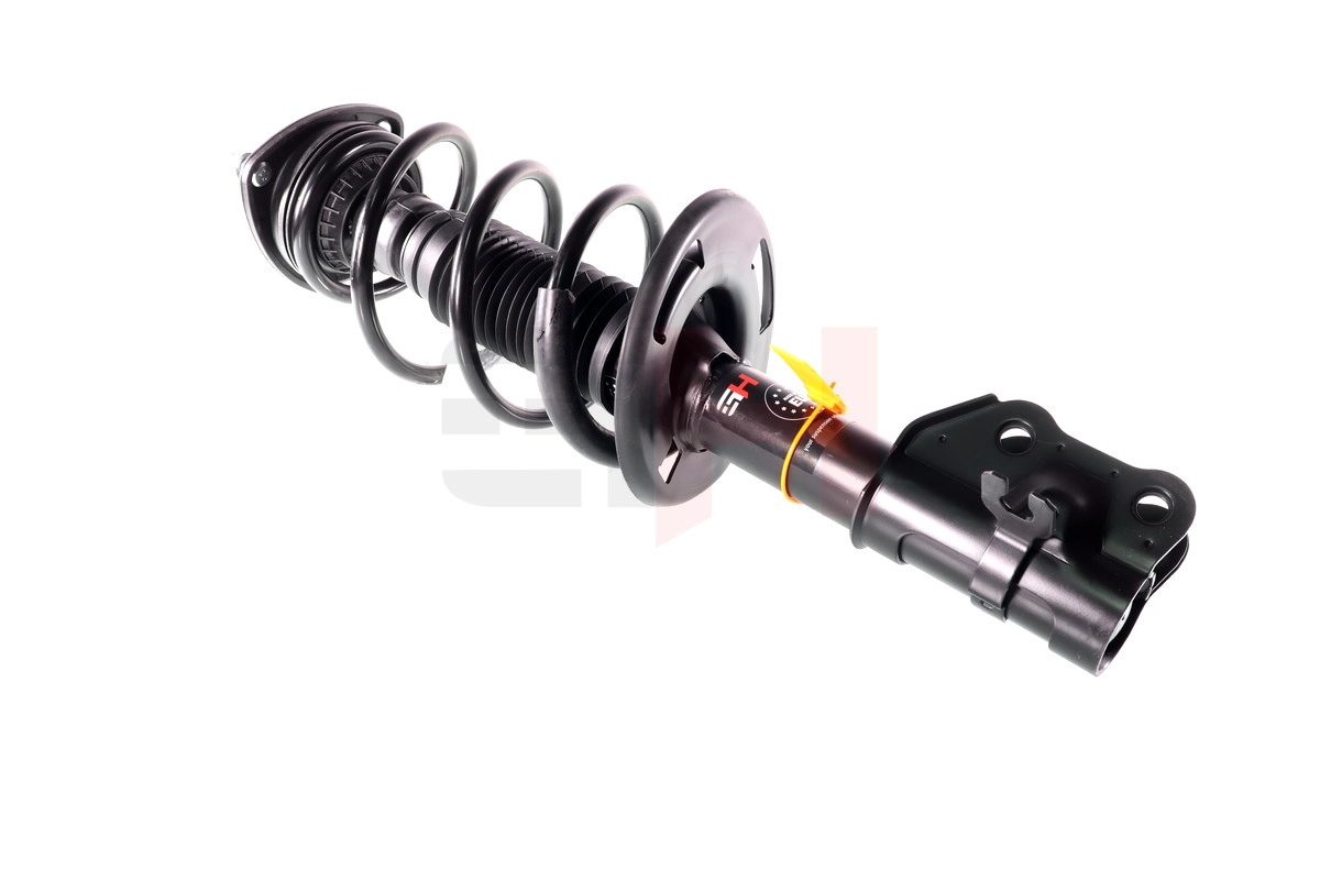 Suspension Strut (GH-353283C02)
