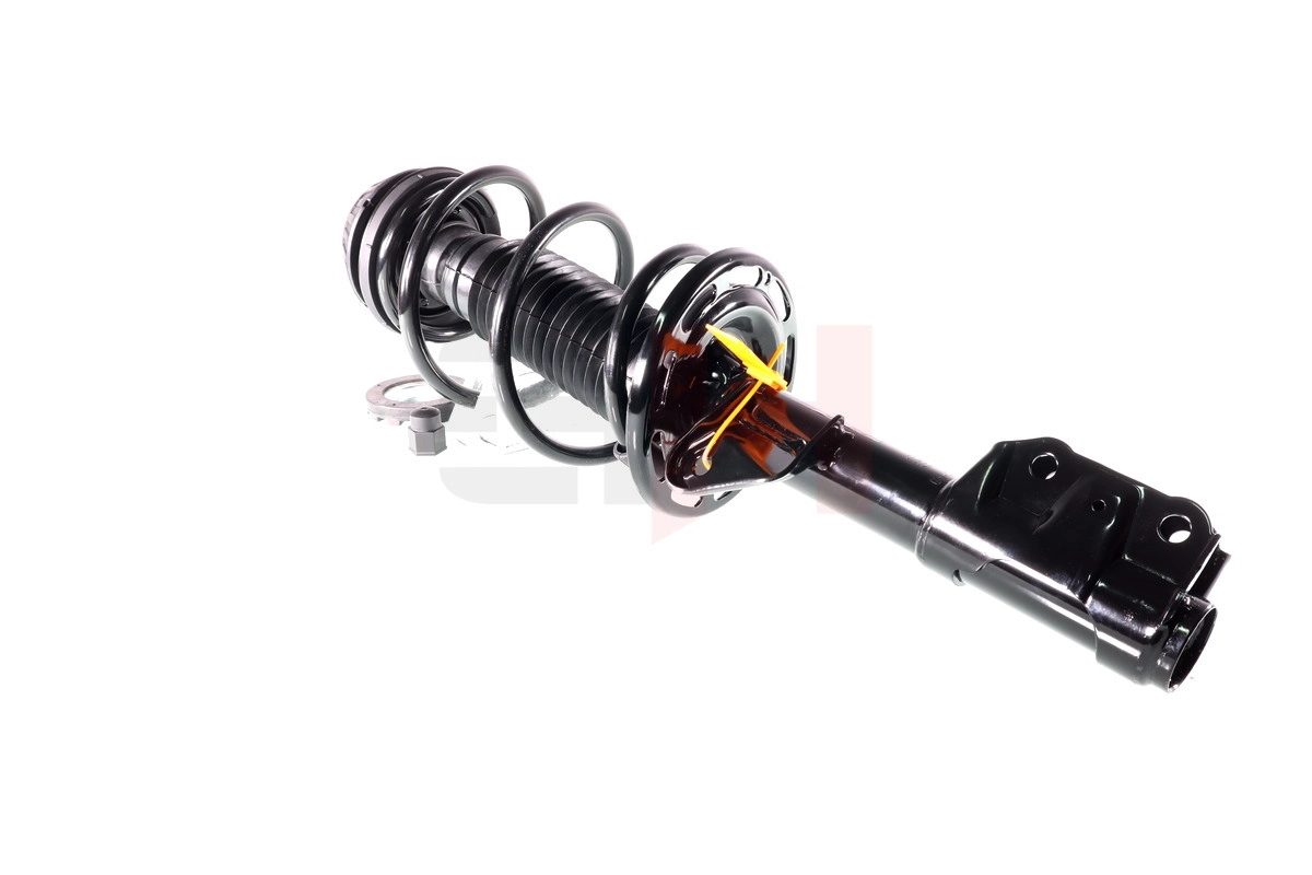 Suspension Strut (GH-352647C02)