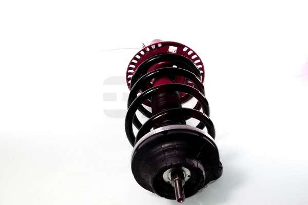 Suspension Strut