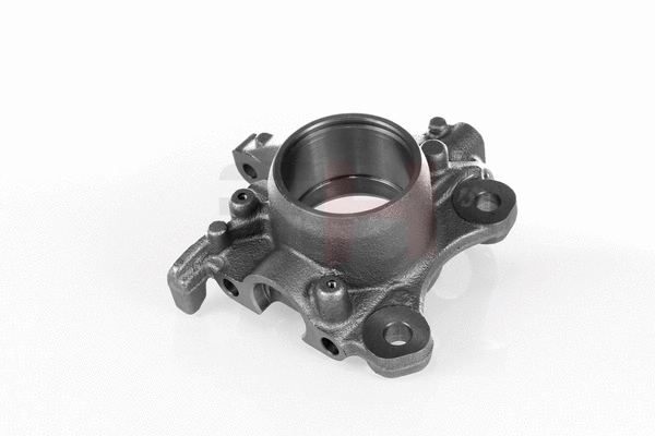 Steering Knuckle, wheel suspension