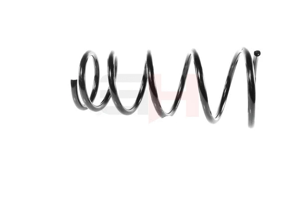 Suspension Spring (GH-224402)